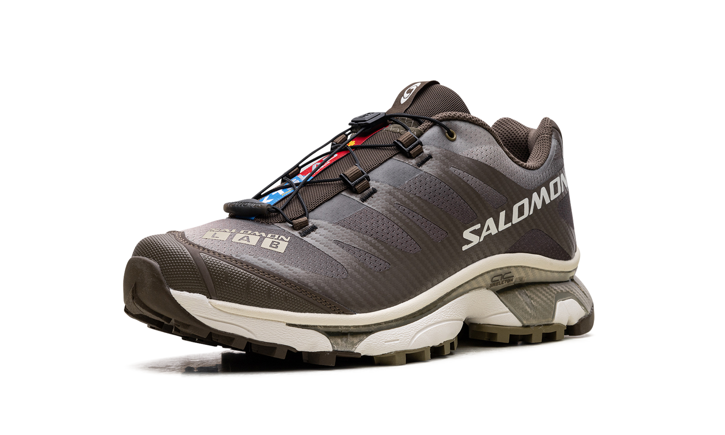 Salomon XT-4 OG "Aurora Borealis Canteen"