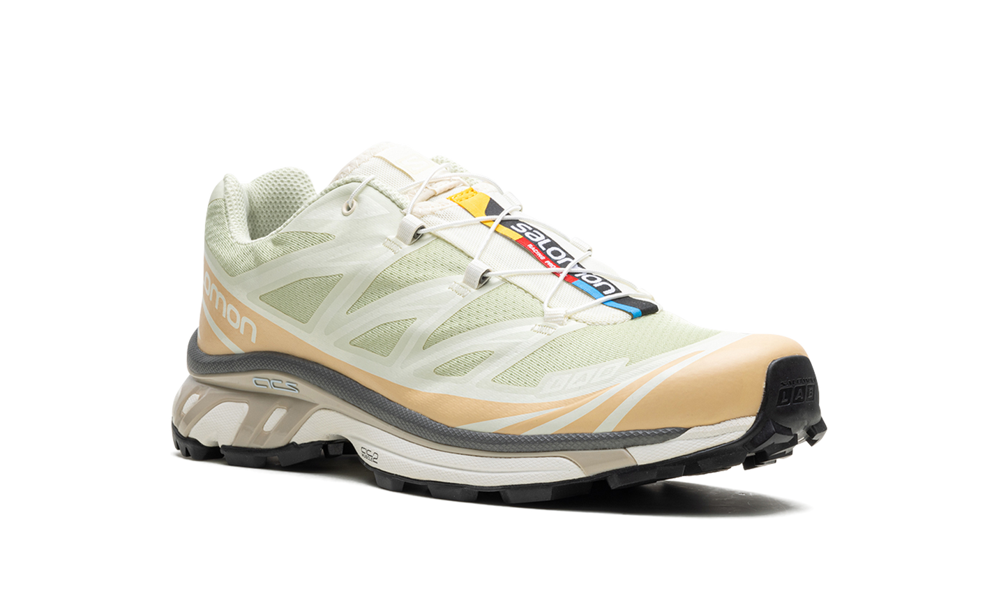 Salomon XT-6 "Aloe Wash"