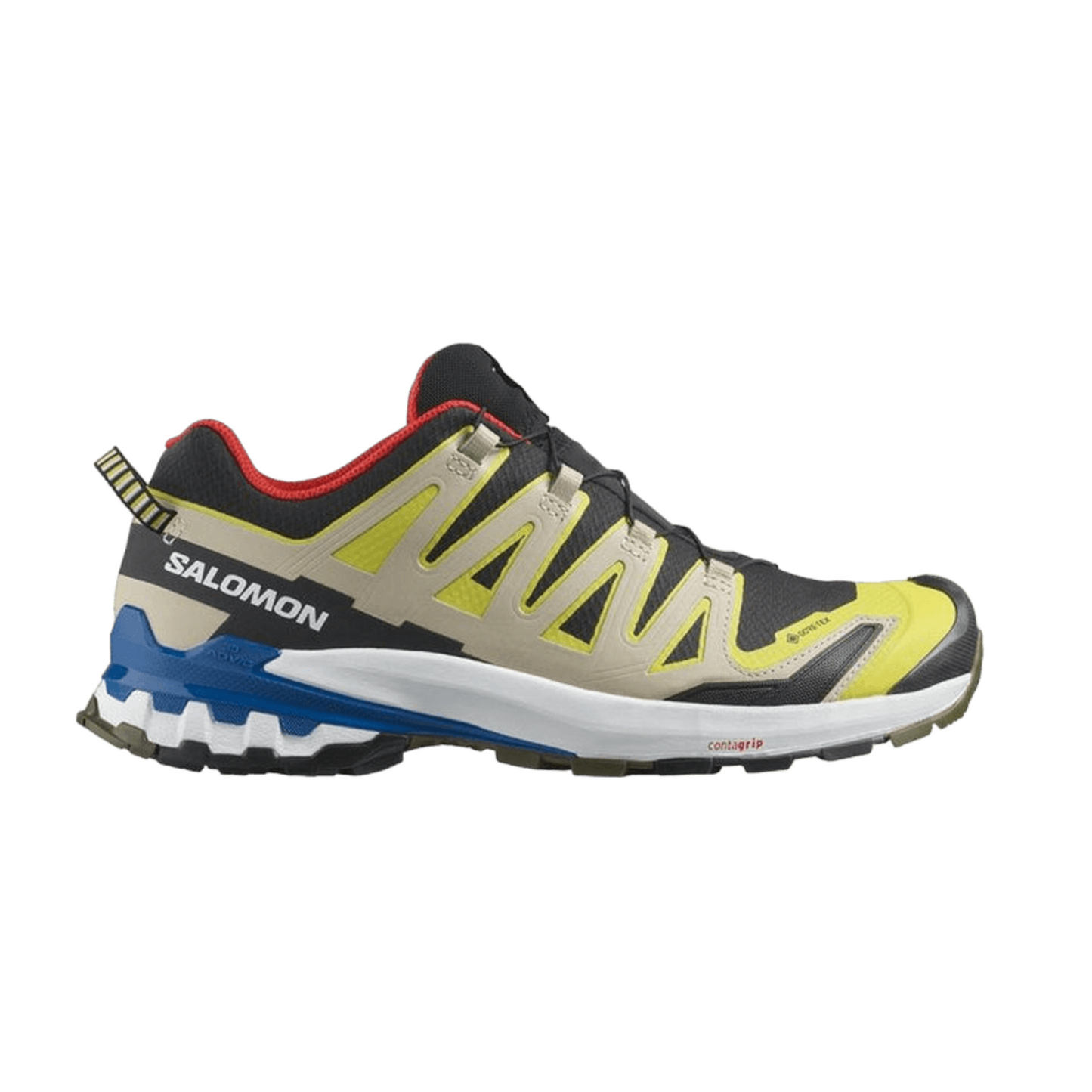 Salomon Men's XA Pro 3D V9 GTX Trail Running Shoes (471190)
