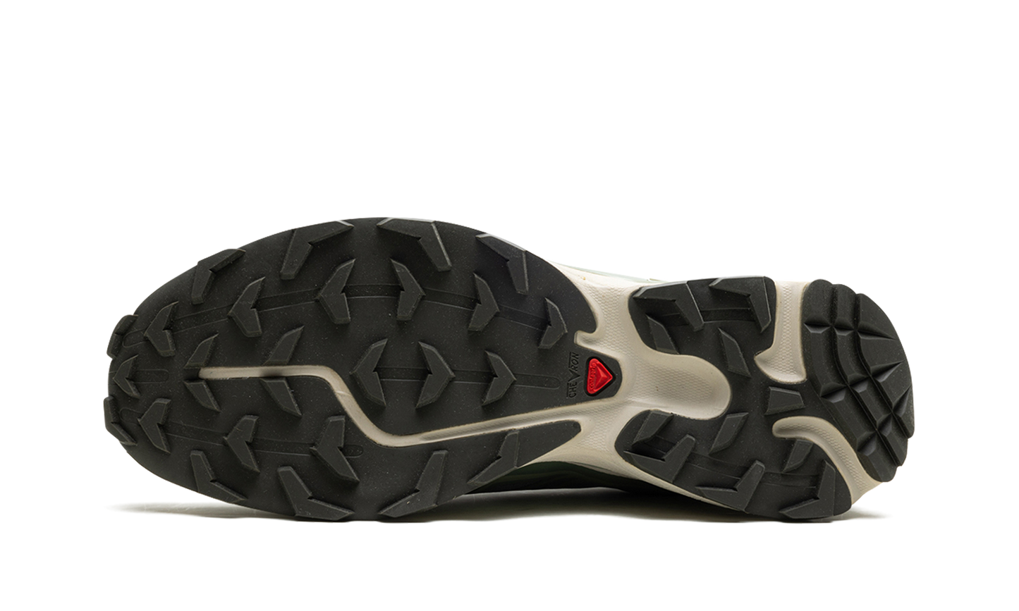 Salomon XT-6 "Laurel Wreath"