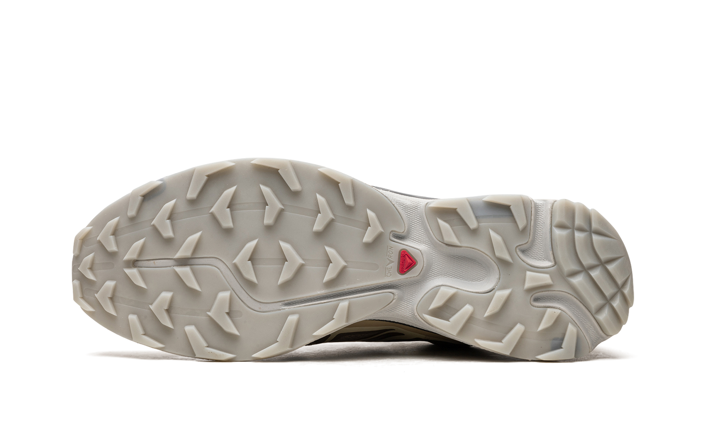 Salomon XT-6 Clear