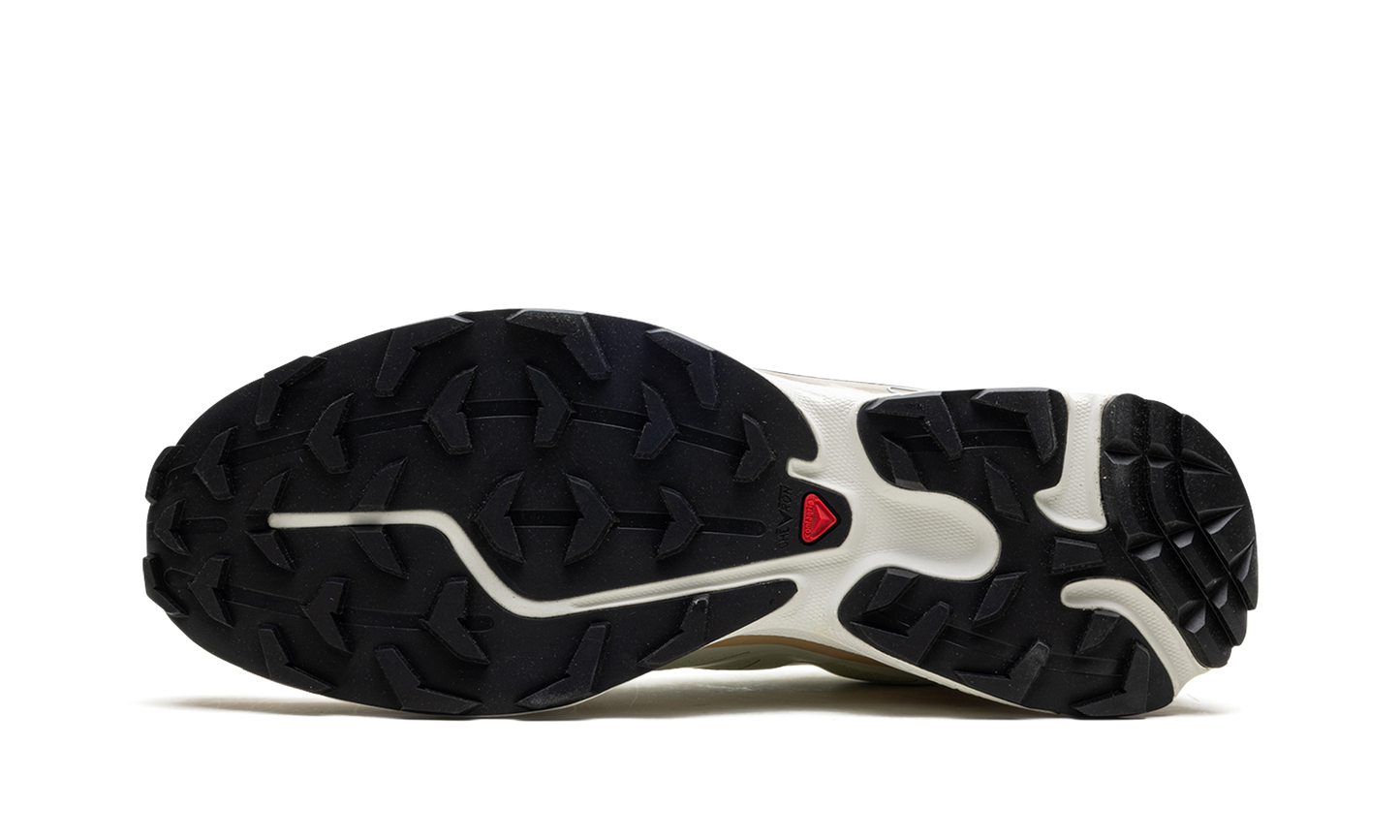 Salomon XT-6 "Aloe Wash"