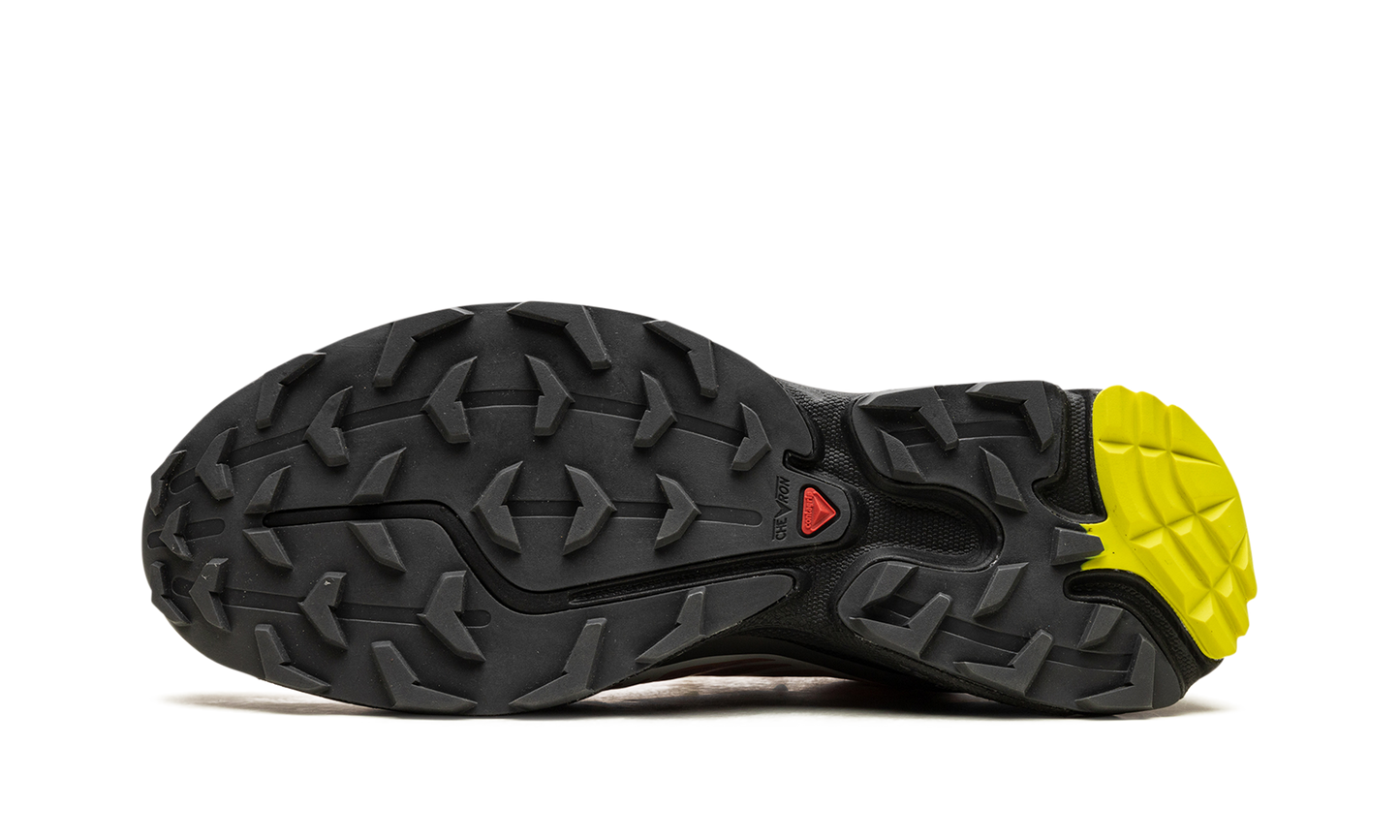 Salomon XT-6 "Blooming Dahila"
