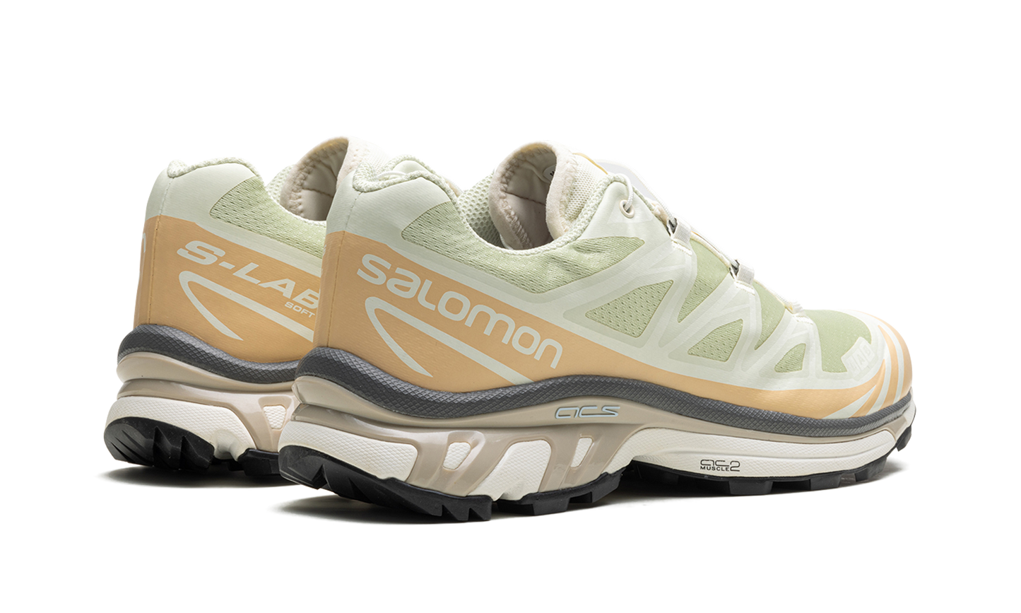 Salomon XT-6 "Aloe Wash"