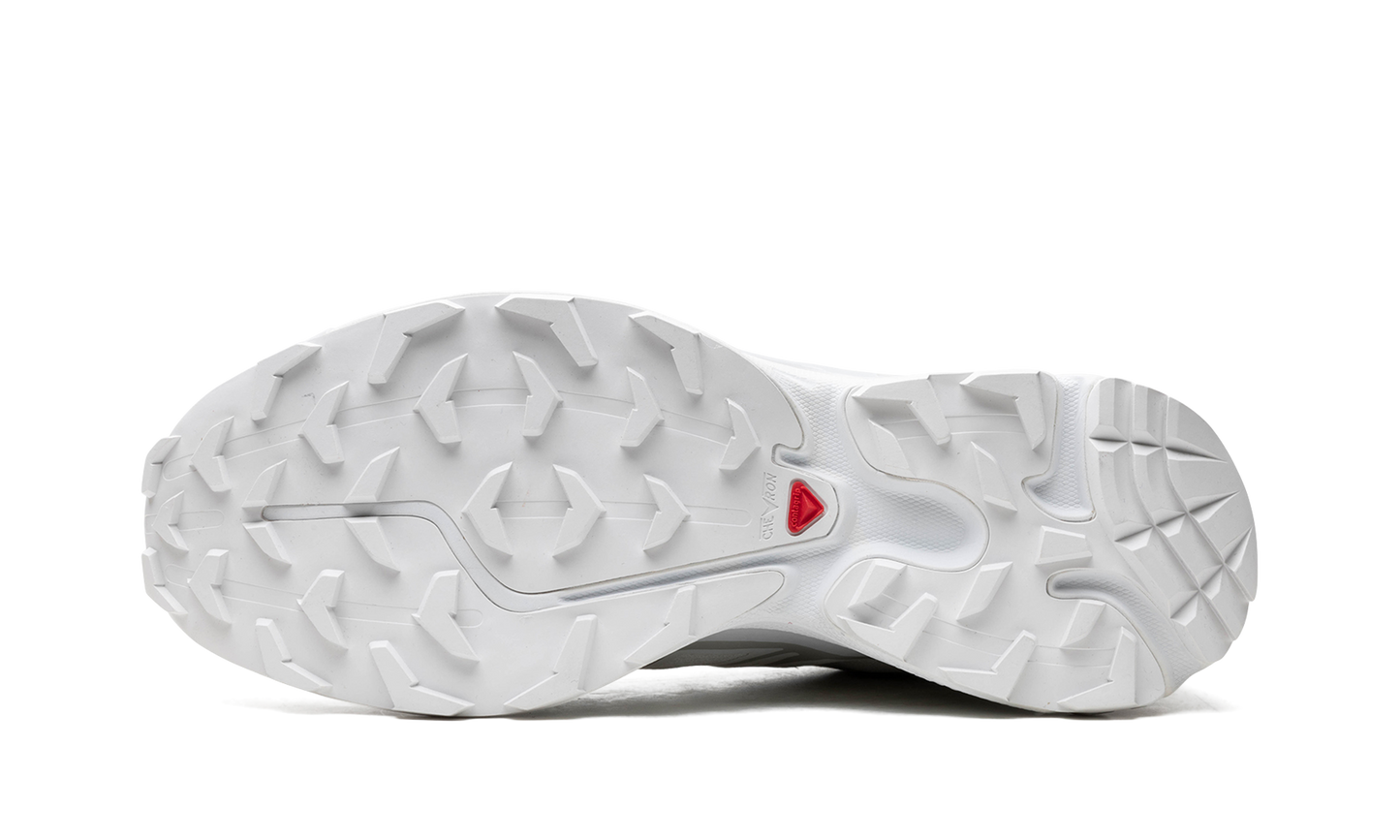 Salomon XT-6