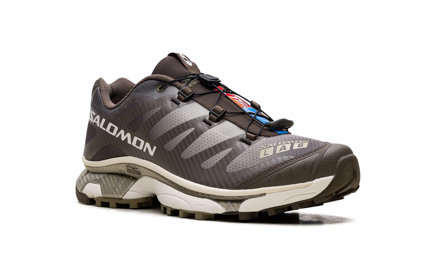 Salomon XT-4 OG "Aurora Borealis Canteen"
