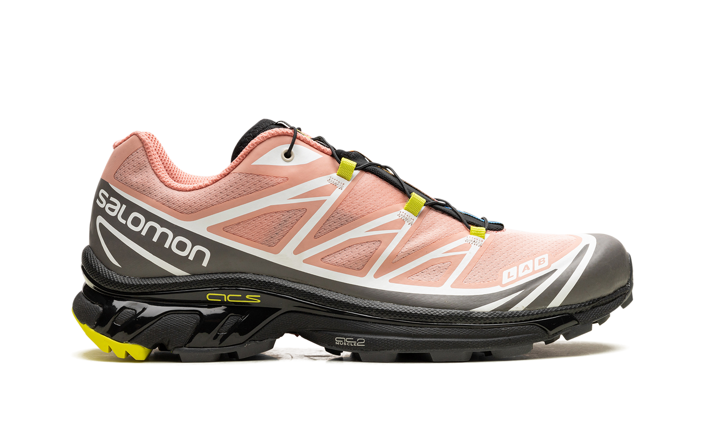 Salomon XT-6 "Blooming Dahila"