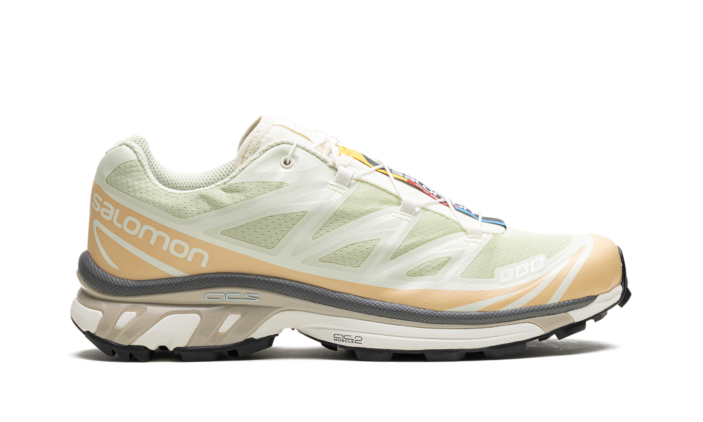 Salomon XT-6 "Aloe Wash"
