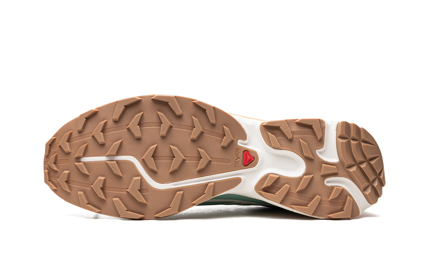 Salomon XT-6 "Granite Green Blazing Orange"