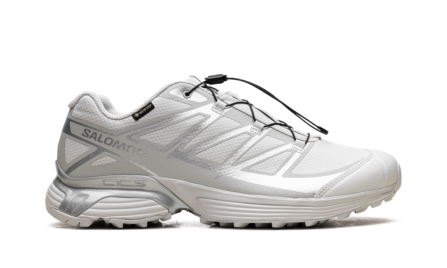 Salomon XT-Pathway GTX "Lunar Rock Alloy"