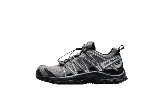 Salomon XA Pro 3D GTX "Pewter Black"