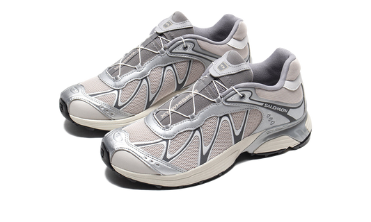 Salomon XT-Whisper "Grey"