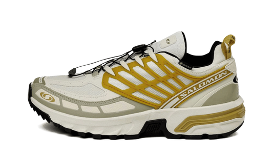 Salomon ACS Pro GTX "Icicle Antelope"
