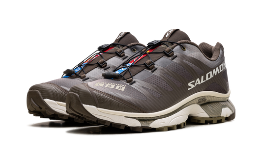 Salomon XT-4 OG "Aurora Borealis Canteen"