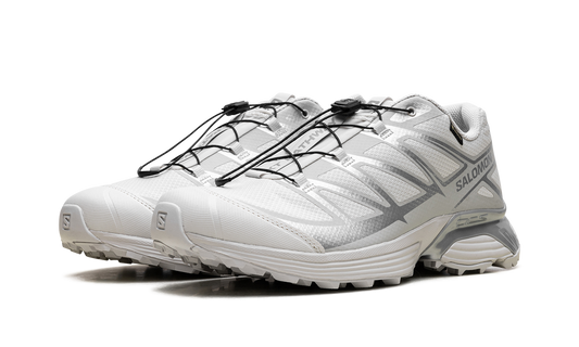 Salomon XT-Pathway GTX "Lunar Rock Alloy"