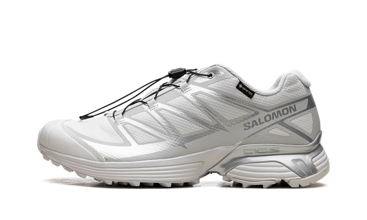 Salomon XT-Pathway GTX "Lunar Rock Alloy"