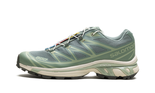 Salomon XT-6 "Laurel Wreath"