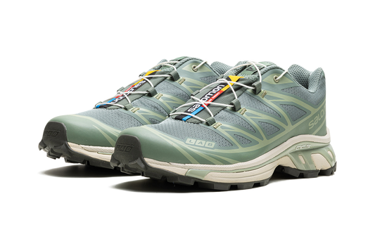 Salomon XT-6 "Laurel Wreath"
