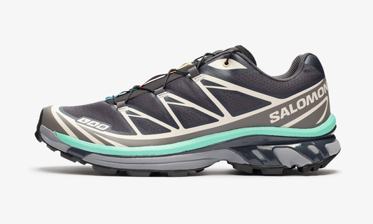 Salomon XT-6 "Nine Iron Quicksilver"